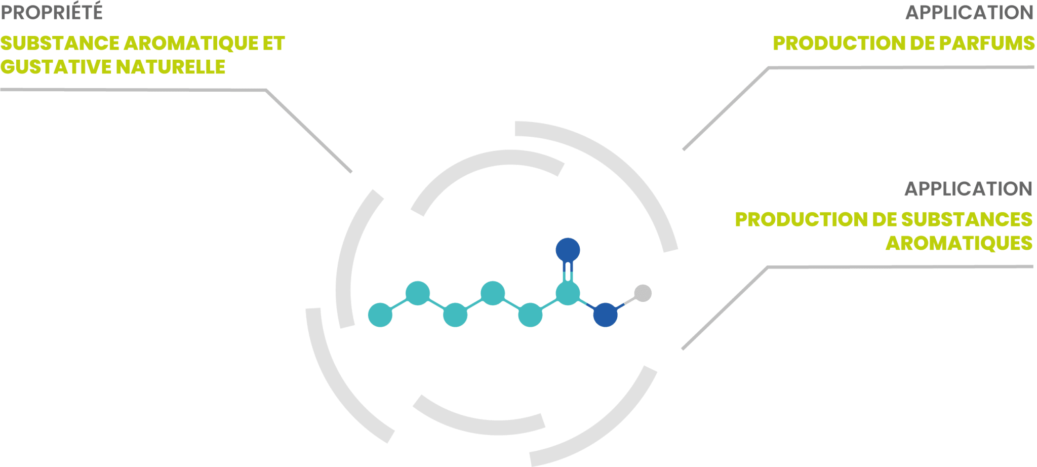 Molécules - Propriétés at Applications - Flavyren Caproic