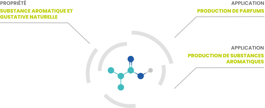 Molécules - Propriétés at Applications - Flavyren IsoButyric