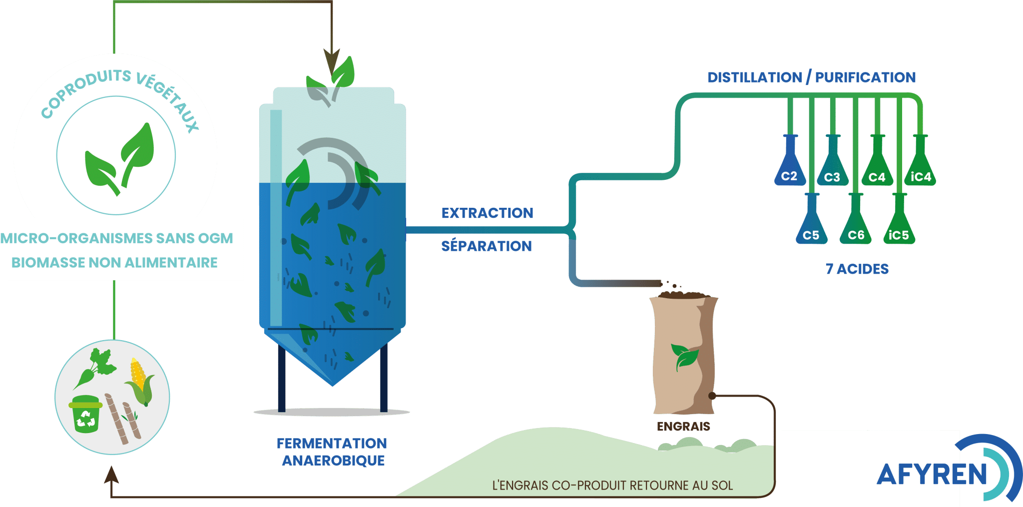 From natural fermentation to an industrial and innovative biomimetic ...